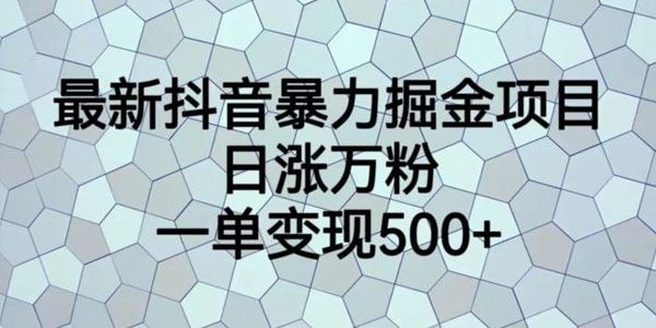 抖音暴力掘金项目：日涨万粉 百度网盘下载