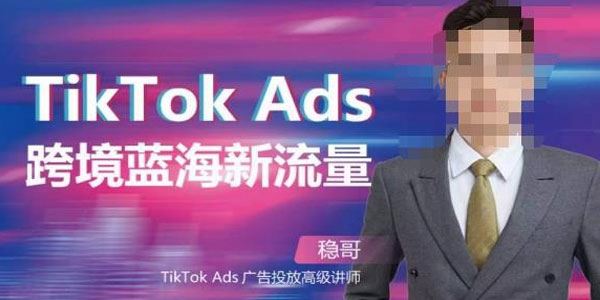 稳哥《如何投出高ROI的TikTok广告》开拓独立站卖家流量 百度网盘下载