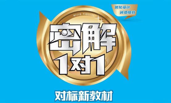 23年版《密解1对1》新教材：六年级语文下册部编版资料