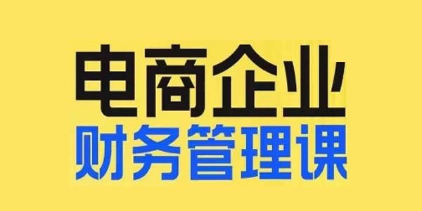 电商企业财务管理线上课：电商企业规划财税 百度网盘下载