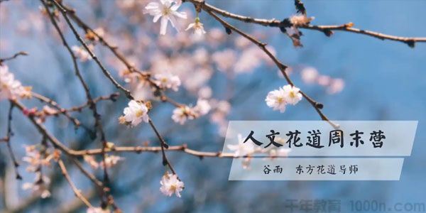 谷雨东方花道导师插花教程 人文花道美学营