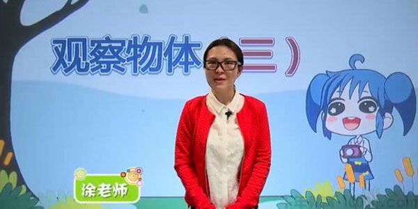 涂熹恺233网校人教版小学五年级数学下册