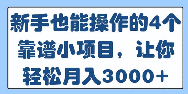 新手也能操作的4个靠谱小项目,让你轻松月入3000+