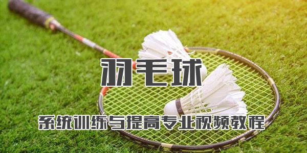 李在福羽毛球系统训练与提高专业视频教程