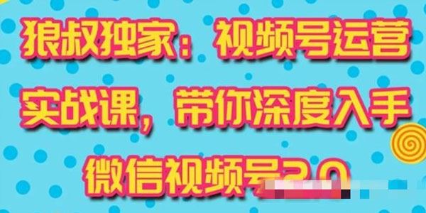 狼叔视频号运营实战课2.0快速吸粉吸金