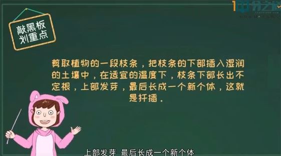 分之道 八年级初二生物下册动画课 百度网盘下载