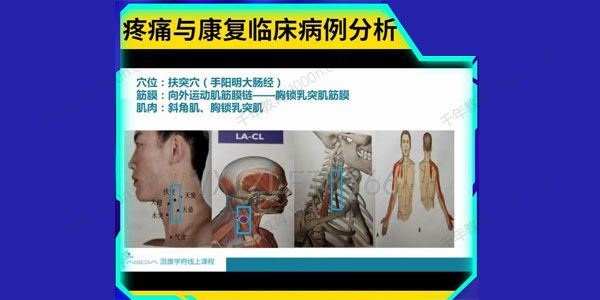 案例汇编：疼痛与康复临床病例分析