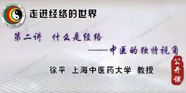 上海中医药大学徐平《走进经络的世界》 百度网盘下载