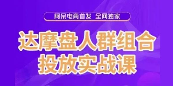 阿呆电商《达摩盘人群组合投放实战课》选择高价值消费群 百度网盘下载