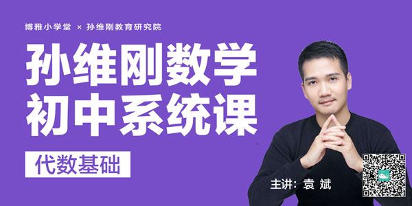 袁斌孙维刚初中数学系统课代数基础