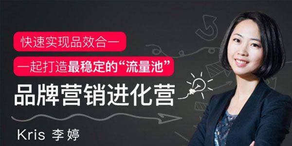 李婷快速实现品效合一课程 品牌营销进化营