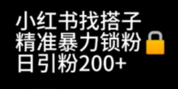 小红书找搭子暴力精准引流精准粉 百度网盘下载